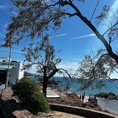 With Sea View And Terrace - 4 People - Pool Apartman Cannes