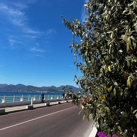 Apartman With Sea View And Terrace - 4 People - Pool